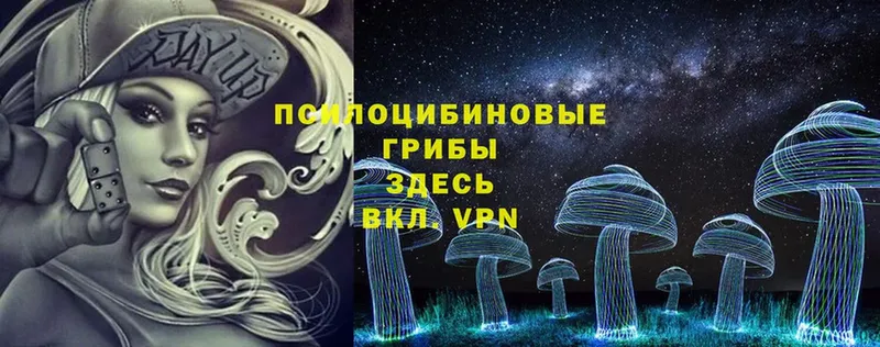 Галлюциногенные грибы Psilocybe  Барабинск 